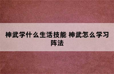 神武学什么生活技能 神武怎么学习阵法